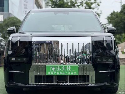 2022 ZEEKR 009 WE Edition, фото 2, лот 10291730