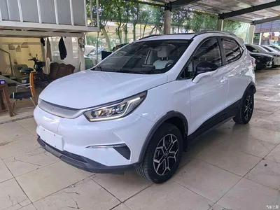 2021 BYD Yuan Pro 401KM Premium Model, фото 1, лот 10363391