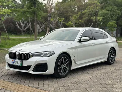 2022 BMW 5 Series New Energy Facelift 535Le Luxury Package, фото 1, лот 10474163
