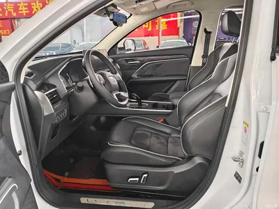 2021 Haval H6 Model National Trend Edition 1.5T Auto Champion, фото 4, лот 10282899