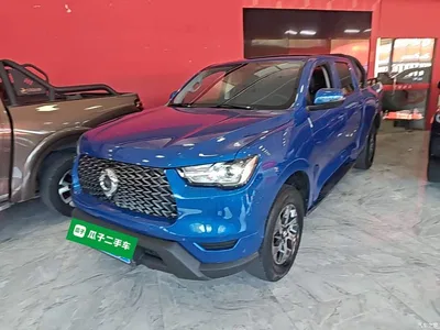 2021 Great Wall Pao 2.0T Commercial Edition Automatic Diesel 2WD Elite Long Box GW4D20M, фото 1, лот 10246299
