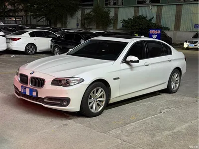 2014 BMW 5 Series 520Li Elegance, фото 1, лот 10699705