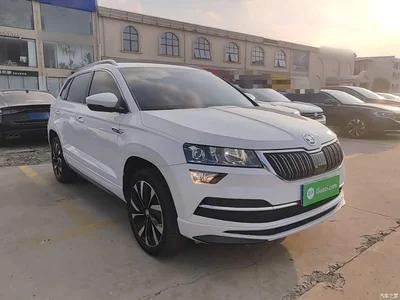 2024 Škoda Karoq TSI280 Luxury Edition, фото 4, лот 10448544