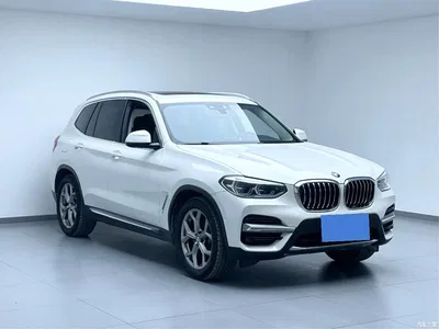 2019 BMW X3 xDrive28i Luxury Package, фото 3, лот 10460557