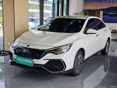 2023 Venucia D60EV PLUS Comfort RJ Type, фото 1, лот 11151639