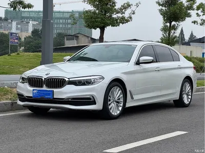 2020 BMW 5 Series 525Li Luxury Package, фото 1, лот 11211815