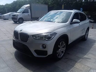 2019 BMW X1 sDrive20Li Leading Model, фото 2, лот 10467229