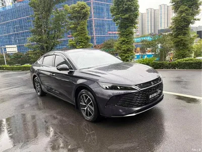 2024 BYD Qin L DM-i 120KM Leading, фото 3, лот 10893978