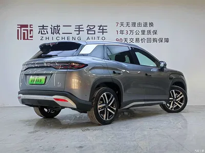 2025 BYD Song L DM-i Smart Drive Edition 112km Surpassing, фото 3, лот 10274655