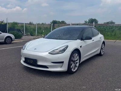 2019 Tesla Model 3 Standard Range Rear-Wheel Drive Upgrade, фото 1, лот 10366509