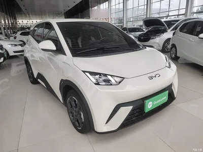 2024 BYD Seagull Glory Edition 305km Freedom Edition, фото 4, лот 10262812