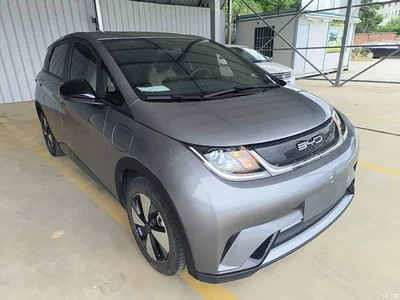 2023 BYD Dolphin 420km Freedom Edition, фото 4, лот 10264139