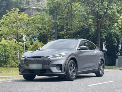 2021 Ford Mustang Mach-E Leap World RWD (Standard Range), фото 1, лот 10890449