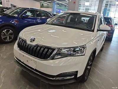 2024 Škoda Kamiq Model 1.5L Automatic Comfort Edition, фото 1, лот 10348056
