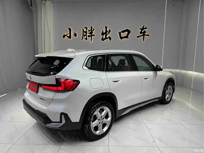 2023 BMW X1 sDrive20Li X Design Package, фото 4, лот 10465803