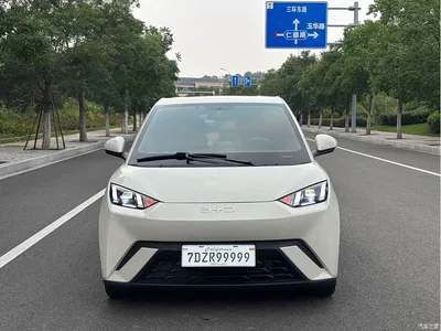 2024 BYD Seagull Glory Edition 305km Freedom Edition, фото 2, лот 10257248