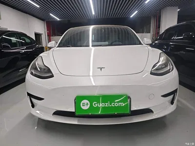 2019 Tesla Model 3 (Import) Standard Range RWD Upgraded Edition, фото 3, лот 10893758
