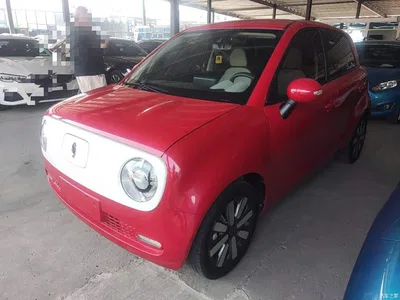 2021 Ora Black Cat 351km Luxury Model, фото 2, лот 10839674