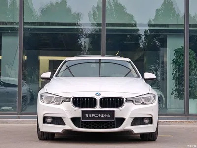 2018 BMW 3 Series 320Li Leading M Sport Package, фото 2, лот 11139114