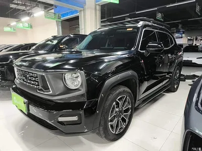 2023 Haval Second-Generation Big Dog New Energy DHT-PHEV 105km Trendy Electric Edition Plus, фото 2, лот 11166153