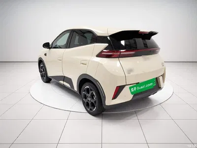 2025 BYD Seagull Smart Drive Edition 305km Freedom Version, фото 4, лот 10252774