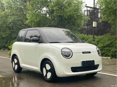 2023 Changan Qiyuan Changan Lumin Model 205km Fragrant Edition, фото 3, лот 11220149