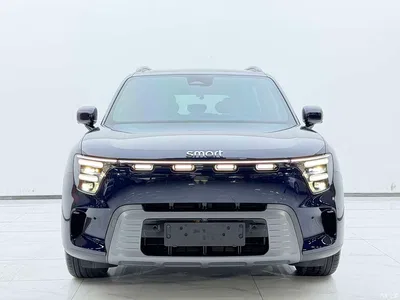 2026 smart Genie #5 Model 120km High-End Version, фото 2, лот 10343292