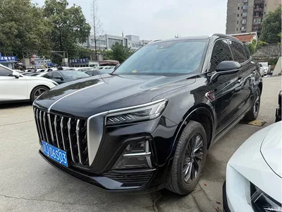 2023 Hongqi HS5 2.0T Flag Enjoy Pro Edition, фото 1, лот 10288307