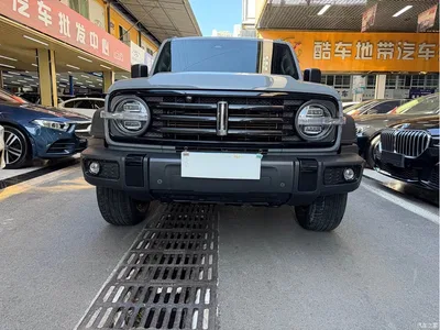 2021 Tank 300 Off-road Edition 2.0T Challenger, фото 2, лот 10344272