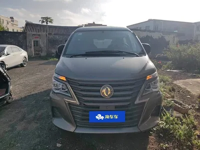 2020 Dongfeng Lingzhi M5L 1.6L Luxury 7-Seater, фото 1, лот 11230541