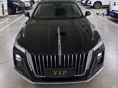 2024 Hongqi H5 1.5T DCT Smart Connect Flag Rhythm Edition, фото 2, лот 10889401