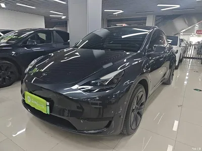 2024 Tesla Model Y Rear-Wheel Drive Version, фото 1, лот 10373455