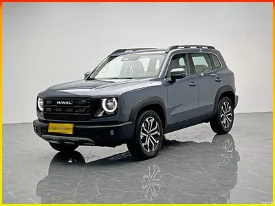 2024 Haval Big Dog 1.5T DCT Border Collie Edition, фото 1, лот 11528152
