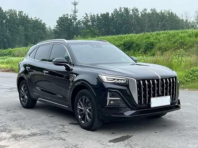 2023 Hongqi HS5 2.0T Flag Joy Pro Edition, фото 3, лот 10606684