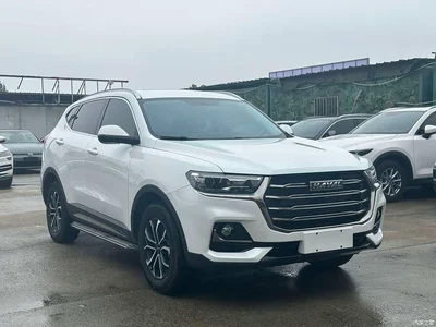 2021 Haval H6 National Trend Edition 1.5T Automatic Urban Edition, фото 3, лот 10282008