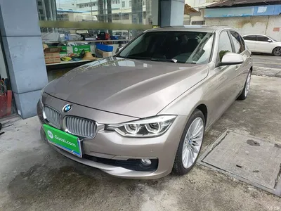 2018 BMW 3 Series 320Li Fashion Style, фото 2, лот 10458001