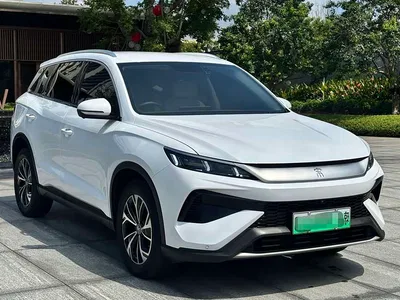 2025 BYD Song Pro New Energy 2nd Gen DM-i 75KM Leading Type, фото 4, лот 10275434