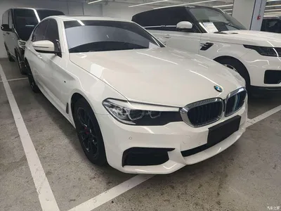2019 BMW 5 Series (Import), фото 3, лот 11136307