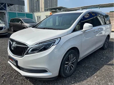 2017 Buick GL8 ES 28T Luxury China V, фото 1, лот 10256843