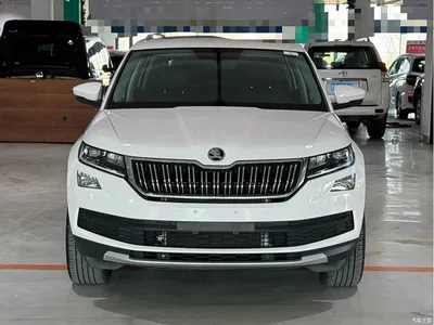 2019 Škoda Kodiaq Facelift TSI330 5-Seater 2WD Luxury Premium Edition China V, фото 2, лот 10348562
