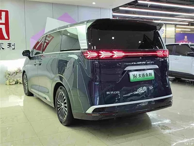 2022 Denza D9 DM-i 1040 Premium, фото 4, лот 10351009