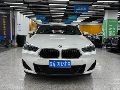 2020 BMW X2 sDrive25i Exclusive M Sport Package, фото 2, лот 10400319