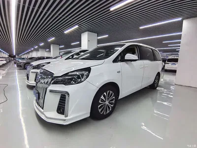 2020 Buick GL8 Model Land Business Class 652T Comfort, фото 1, лот 11552285