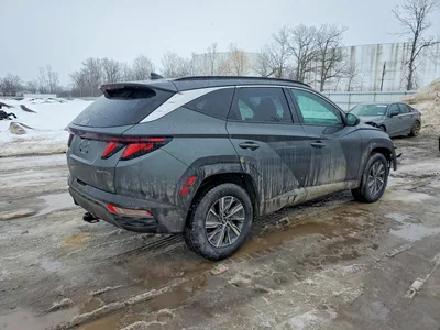 2024 HYUNDAI TUCSON BLUE, фото 3, лот 10757438