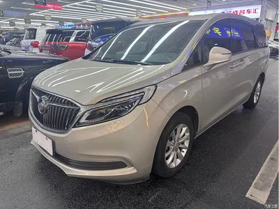 2017 Buick GL8, фото 1, лот 10245959