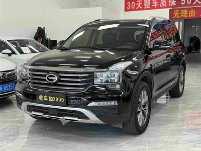 2017 GAC Trumpchi Trumpchi GS8 320T 4WD Supreme Edition (7-seater), фото 1, лот 10420060