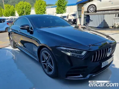 2019 Mercedes-Benz CLS-Class CLS300d 4MATIC, фото 1, лот 10046079