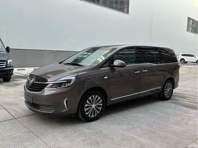 2020 Buick GL8, фото 1, лот 10242461
