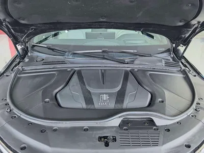 2025 BYD Tang New Energy Smart Driving Edition DM-i 115KM Flagship, фото 2, лот 10274095