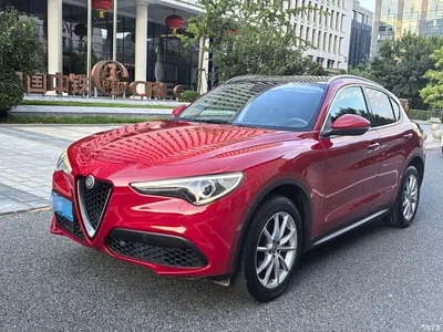 2017 Alfa Romeo Stelvio 2.0T 200HP Luxury Edition, фото 1, лот 10239850